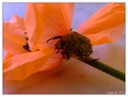 esercizi del corpo e dell'anima esercizi del corpo e dell'anima