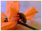 esercizi del corpo e dell'anima 3 esercizi del corpo e dell'anima 3