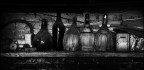 Vendemmia 1979 Vendemmia 1979