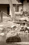 La "Balena di pietra" La "Balena di pietra"