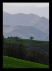 Verdi colline...2