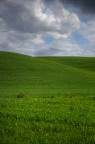 ..essenza toscana VII.. ..essenza toscana VII..