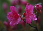 Mentre piove Mentre piove