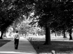Walking in the park Walking in the park