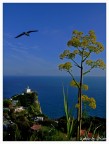 L'Alba di Domani L'Alba di Domani