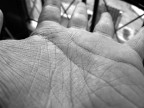 Hand lines Hand lines
