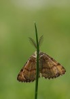 asse di simmetria asse di simmetria