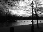 Serpentine's view (Hyde Park)