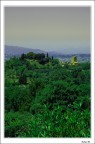 Castello