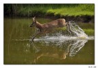 Un salto nell'acqua Un salto nell'acqua