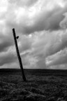 La solitudine La solitudine