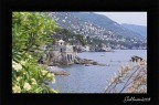 nervi04 nervi04