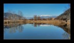 Naturale immobilità Naturale immobilità
