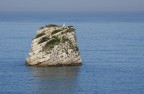 In miezz'o mare .... nu scoglio ce sta In miezz'o mare .... nu scoglio ce sta