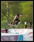 skatter skatter