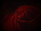 Black and Red: Colours Of The Passion Black and Red: Colours Of The Passion