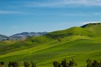 Sicily landscape II