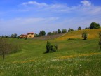 Collina Monregalese (CN) Collina Monregalese (CN)