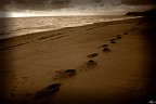 Il mare d'inverno.... Il mare d'inverno....