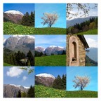Primavera a Lozio Primavera a Lozio