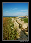 Fotografi Fotografi