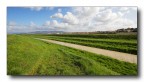 campagna livornese campagna livornese