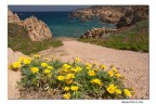 Il giallo e il blu