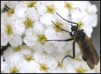 prove di macro prove di macro