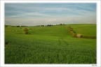 Crop lines Crop lines