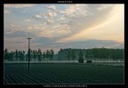 primavera