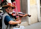 violinista di strada violinista di strada