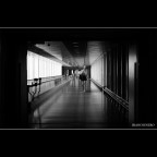 ::: FUORI DAL TUNNEL :::