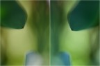 Luce|arbmO Luce|arbmO