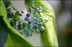 . bejeweled . . bejeweled .