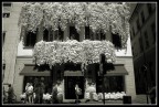 Via Montenapoleone n.4 (gruppo street, 6 raduno NSF)
