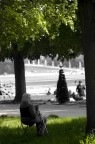 sguardo nel parco sguardo nel parco