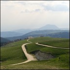 Podestaria di Bosco Chiesanuova, 2008