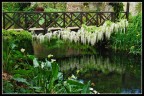 the romantic bridge the romantic bridge