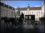 Vienna Vienna