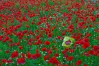 tempi moderni