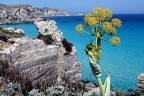 Vista di cala rossa nella sp�endida isola di Favignana