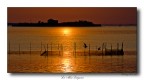 La Mia Laguna La Mia Laguna