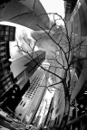 the big apple the big apple