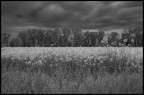 prima del temporale prima del temporale