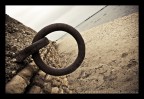 the ring the ring