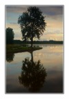 Riflessi Riflessi