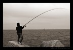 phishing phishing
