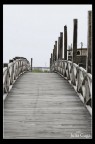 il ponte il ponte