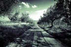 Where the street have no name... Where the street have no name...