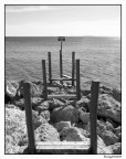 il mare e' di tutti il mare e' di tutti